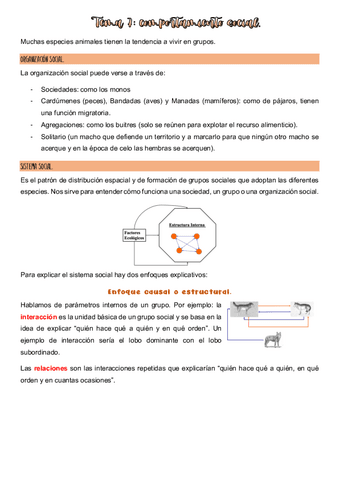 Tema-7-apuntes-etiologia.pdf