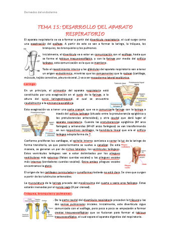Tema-15.pdf