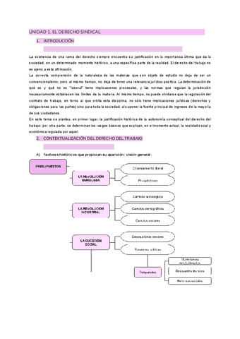 Derecho-Sindical.pdf