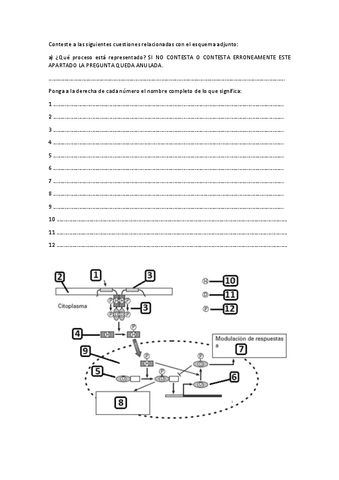 Modelo-preguntas-examen.pdf