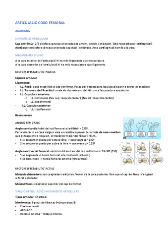 01.-Valoracio-i-mobilitzacions-Coxo-Femoral.pdf