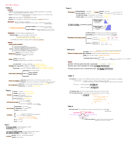 Esquemas-estadistica.pdf