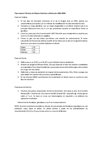Ejemplo-Examen-TMM-22-23.pdf