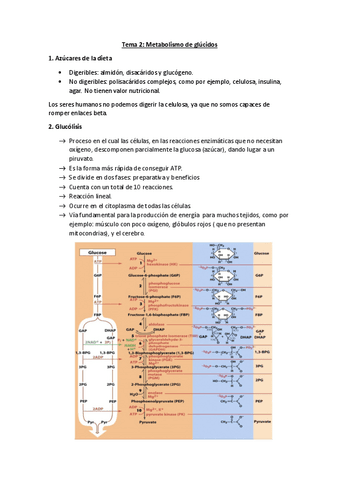 Tema-2.pdf