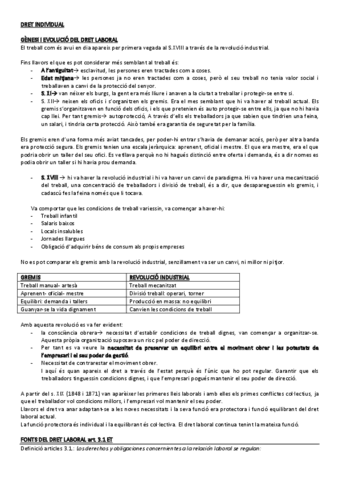 dret-laboral.pdf