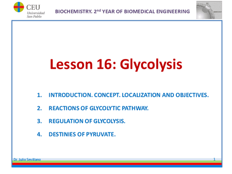 TEMA-16-GLYCOLISIS-BIOMED-ENG.pdf