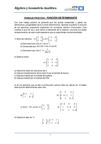 TP-FUNCION-DETERMINANTE.pdf