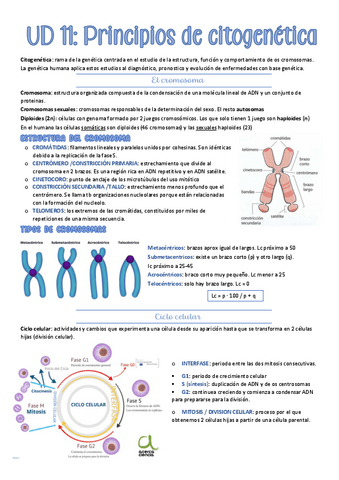 tema-11-BMC.pdf