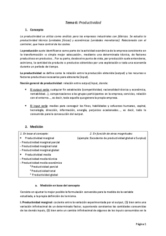 TEMA-6-Productividad.pdf