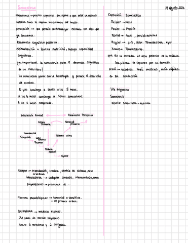 Psicobiologia.pdf