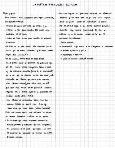 Sentidos-Especiales-Quimicos.pdf