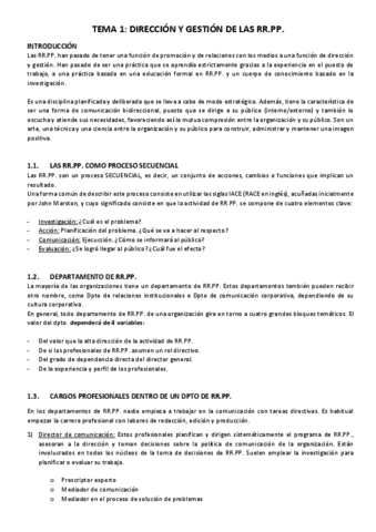 RESUMEN-DIRECCION-ESTRATEGICA-DE-LAS-RR.PP.pdf