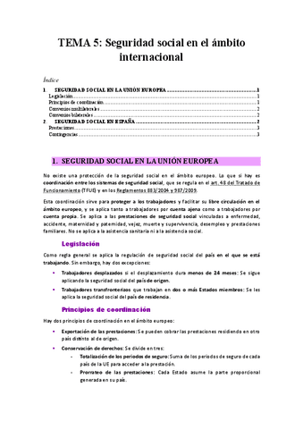 TEMA-5-Seguridad-social-en-el-ambito-internacional.pdf
