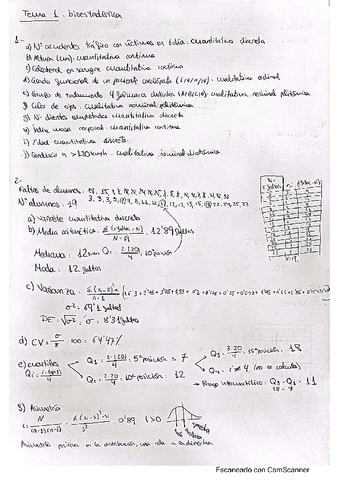 tema-1-resuletos.pdf