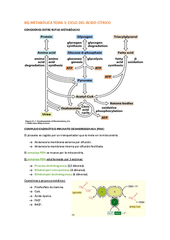 BQ-METABOLICA-TEMA-3.pdf