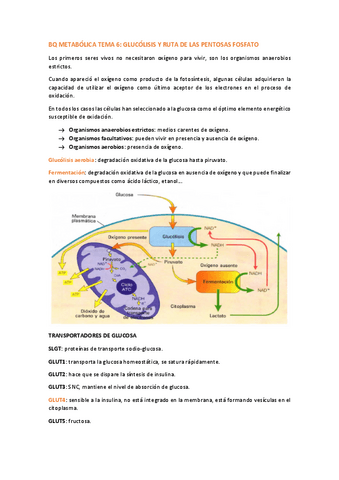 BQ-METABOLICA-TEMA-6.pdf