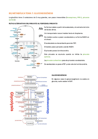 BQ-METABOLICA-TEMA-7.pdf