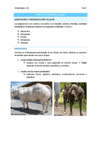 Tema-4.-Patologia-Celular.pdf