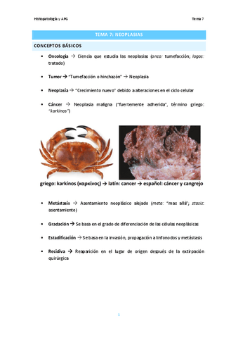 Tema-7.-Neoplasias.pdf