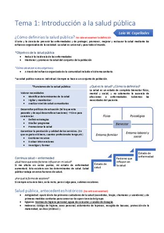 Tema-1-y-Tema-2-salud-publica-Alex.pdf