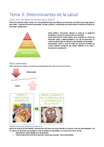 Tema-3-salud-publica-alex.pdf