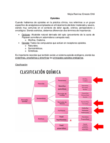 Opioides-Apunte.pdf