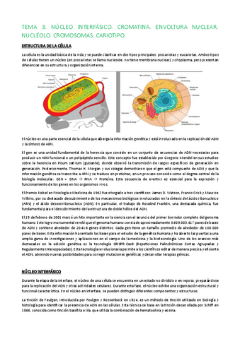 TEMA-3..pdf