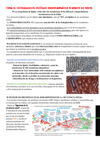 TEMA-15-Citoesqueleto-reticulo-endoplasmatico-y-aparato-de-Golgi..pdf