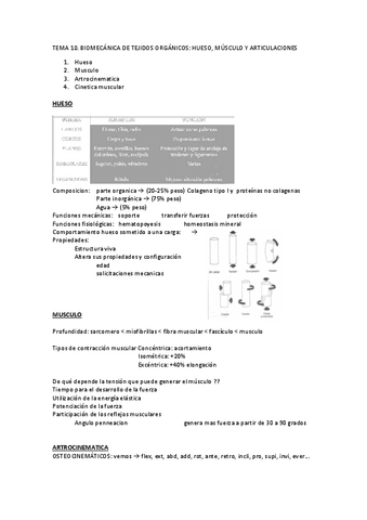 TEMA-10-apuntes.pdf