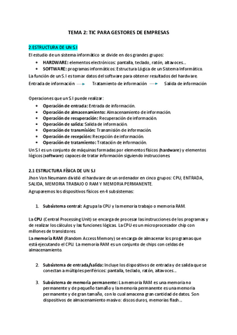 TEMA-2-TIGE-resumen.pdf