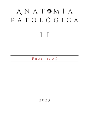 CASOS PRÁCTICOS 2023.pdf