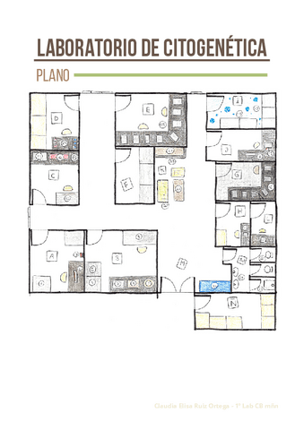 LABORATORIO-DE-CITOGENETICA.pdf