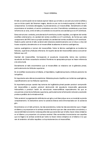 11-TALLO-CEREBRAL-I.-Ballesteros.pdf