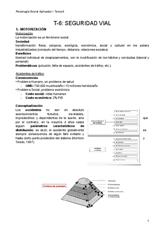 T-6-Psicologia-Social-aplicada-a-la-Seguridad-Vial.pdf