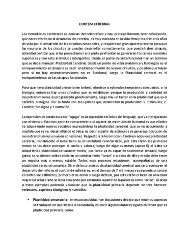 09-CORTEZA-CEREBRAL.pdf