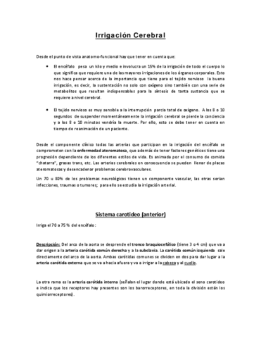 13-IRRIGACION-CERE.pdf