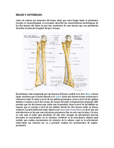 15-BRAZO-Y-ANTEBRAZO.-Ballesteros.pdf