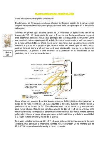 18-PLEXO-LUMBOSACRO.-Ballesteross.pdf