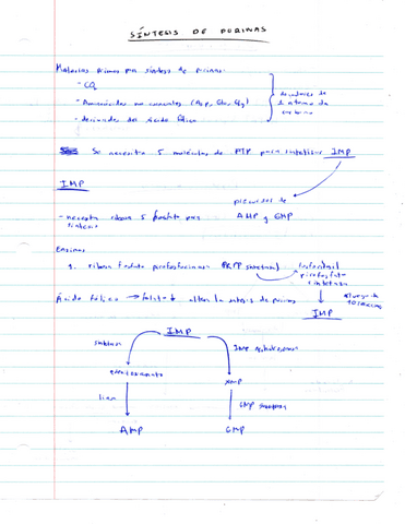 apuntes-bq-parte-1.pdf