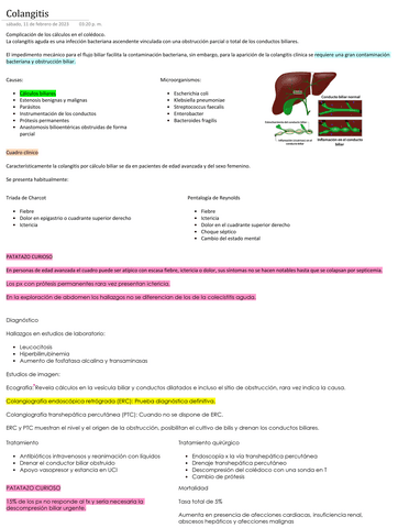Colangitis.pdf