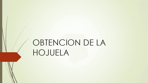 OBTENCION-DE-LA-HOJUELA.pdf