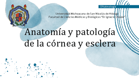 Anatomia-y-patologia-de-cornea-y-esclera.-Oftalmologia.-Homero-y-Mikha.pdf