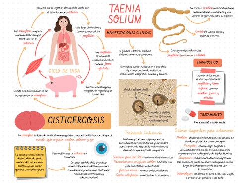 TAENIA-SOLIUM.pdf