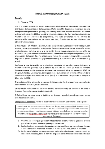 LO-MAS-IMPORTANTE-DE-CADA-TEMA.pdf