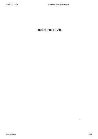 Derecho-civil-apuntes-pdf.pdf