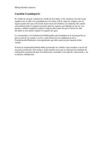 Cuestion-Guadalquivir-MBA.pdf