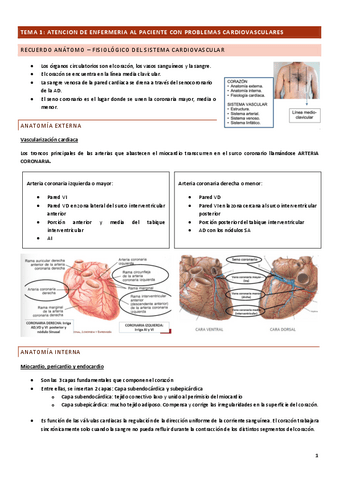 TEMA-1.pdf