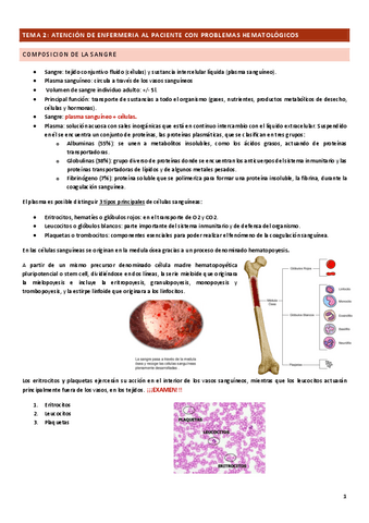 TEMA-2.pdf