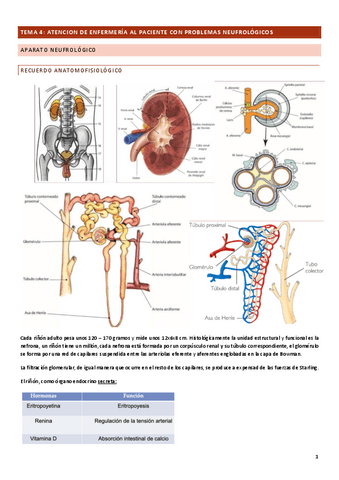 TEMA-4.pdf