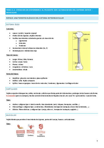 TEMA-1.pdf